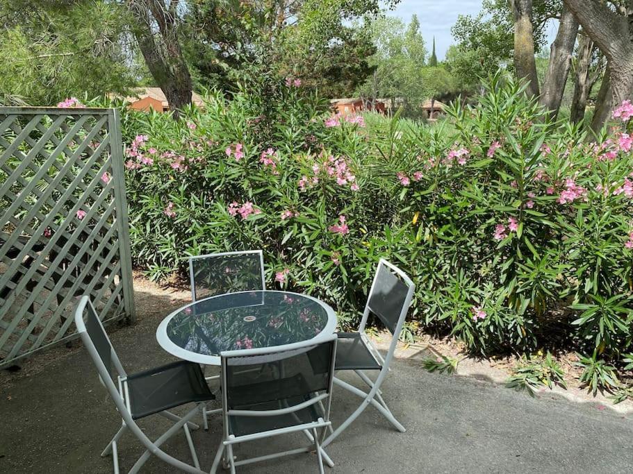 Appartement Residence Vacances Amandier Arles Ngoại thất bức ảnh